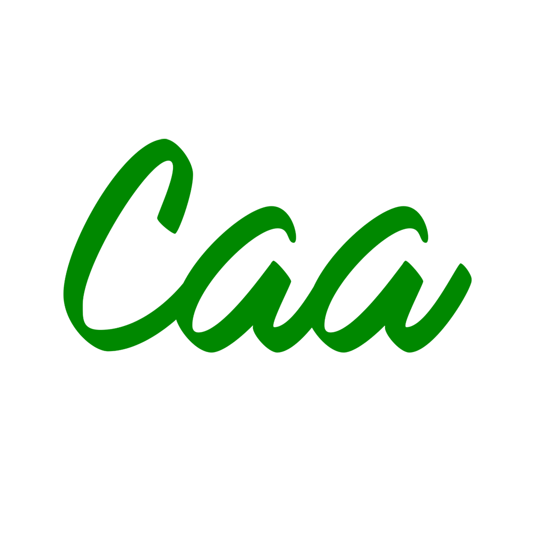 LOGO CAA BASE2